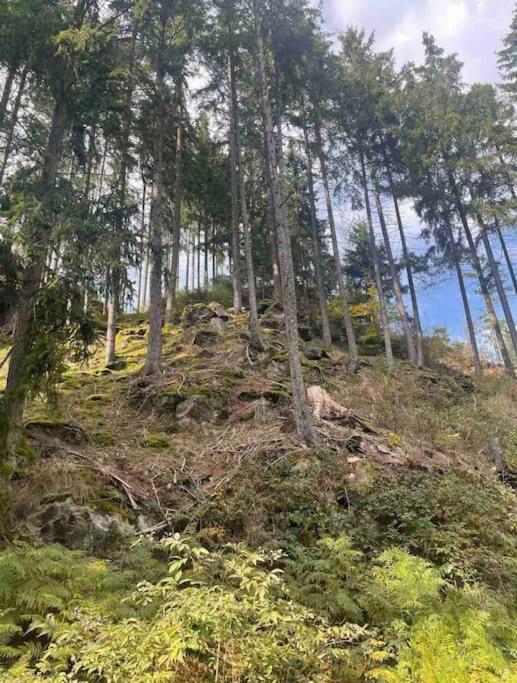 Apartment Bergliebe I Balkon I Aufzug I Stellplatz シュヴァルツェンベルク エクステリア 写真